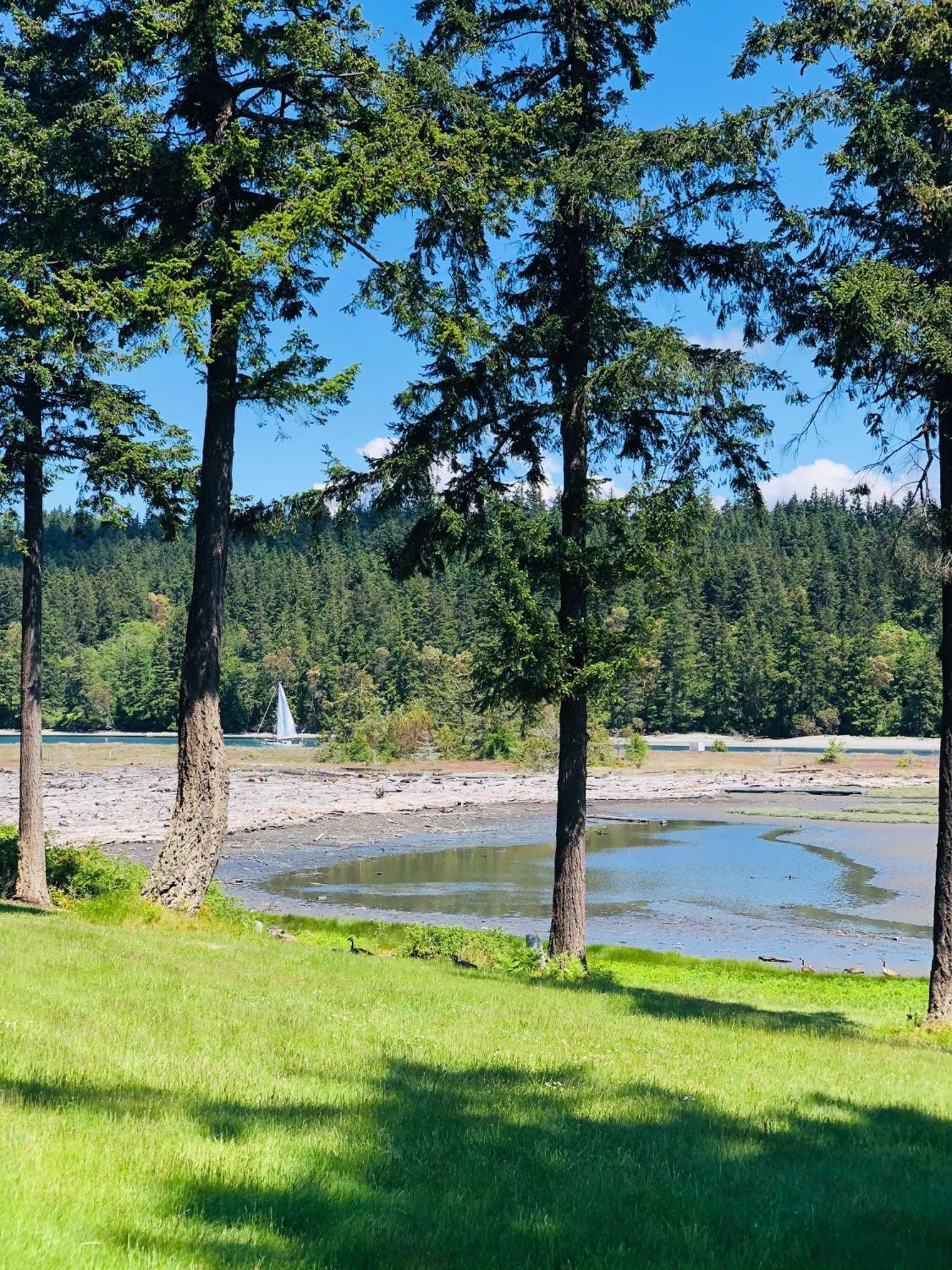 Beautiful Oceanview Retreat 2 Bedroom Home Port Hadlock-Irondale Exterior photo